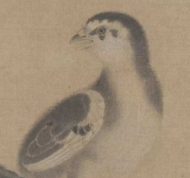 宋李迪鸡雏待饲图页