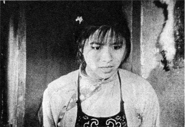迟蓬