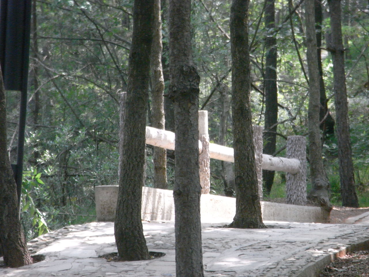 山阳苍龙山森林公园