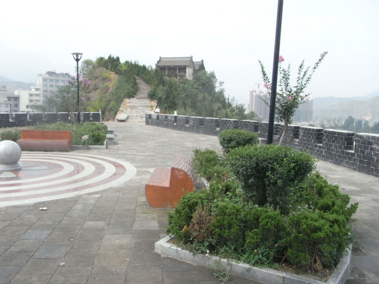 山阳苍龙山森林公园
