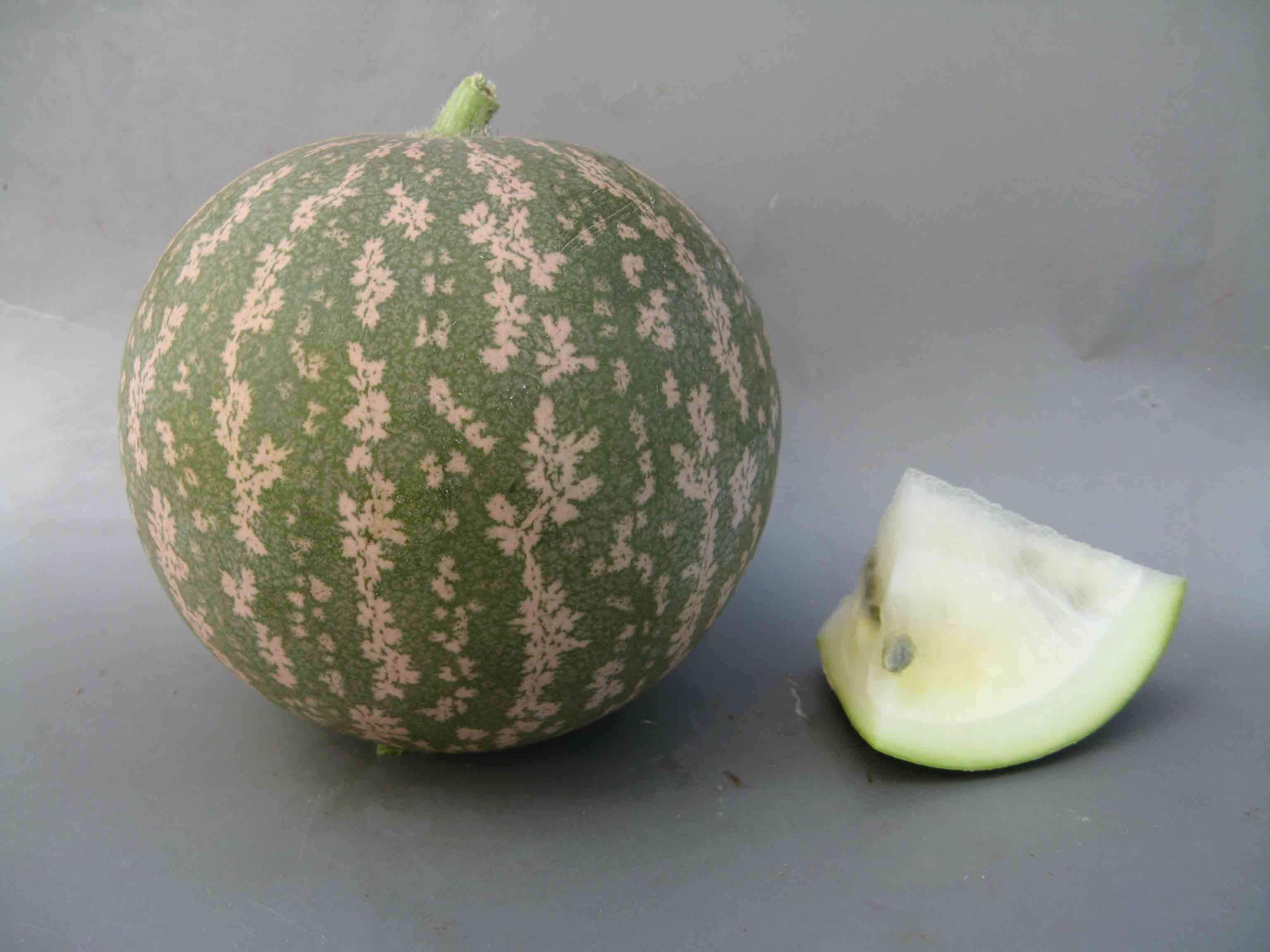  p>药西瓜是一种藤本有毒的植物,因为其所有部位有毒,可做杀虫剂,中毒