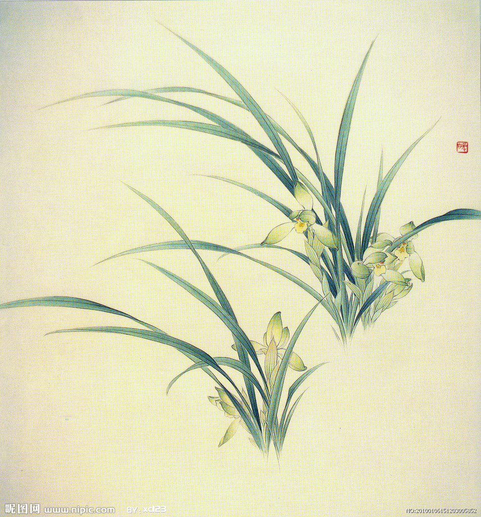  p>兰花是珍贵的观赏植物.