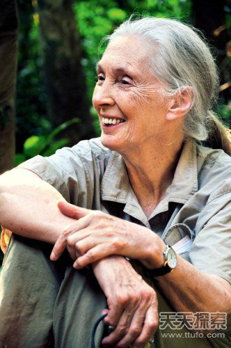  p>珍妮·古道尔(jane goodall),是世界上拥有极高的声誉的动物学家