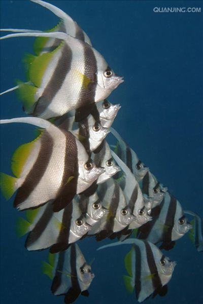 the republic of kiribati