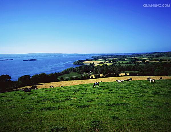 data-id="gnbkumr9jy"> b>蒂珀雷里郡 /b> (county tipperary;爱尔兰