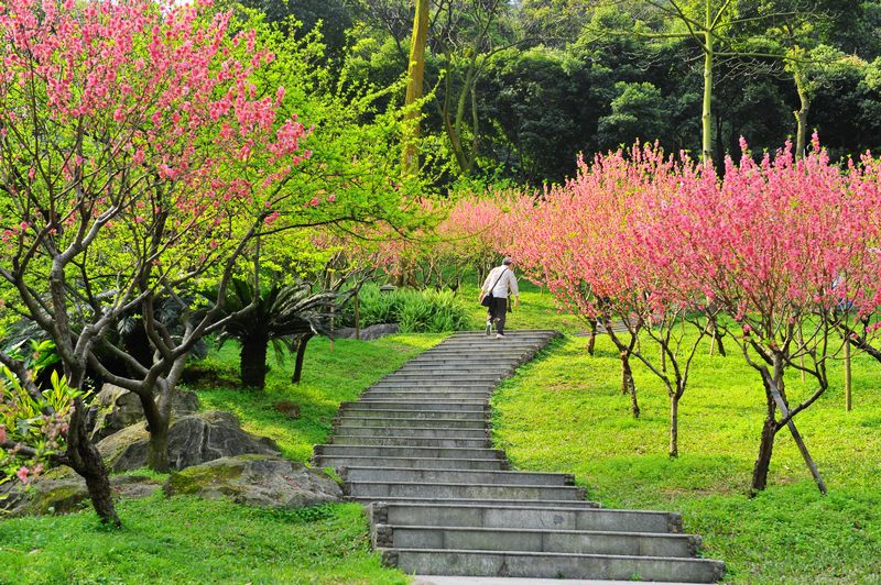 桃花涧