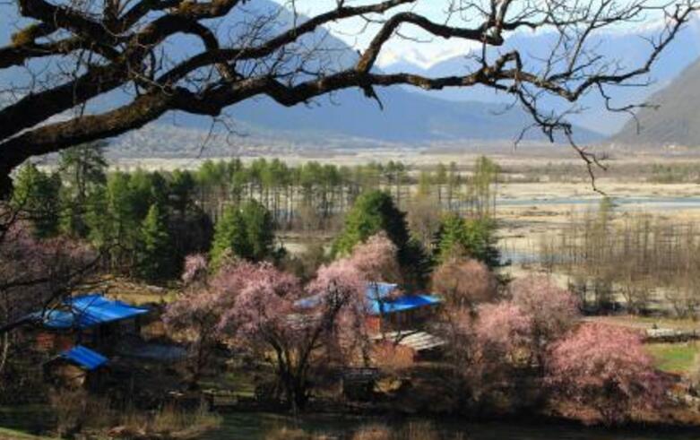 岗乡自然保护区