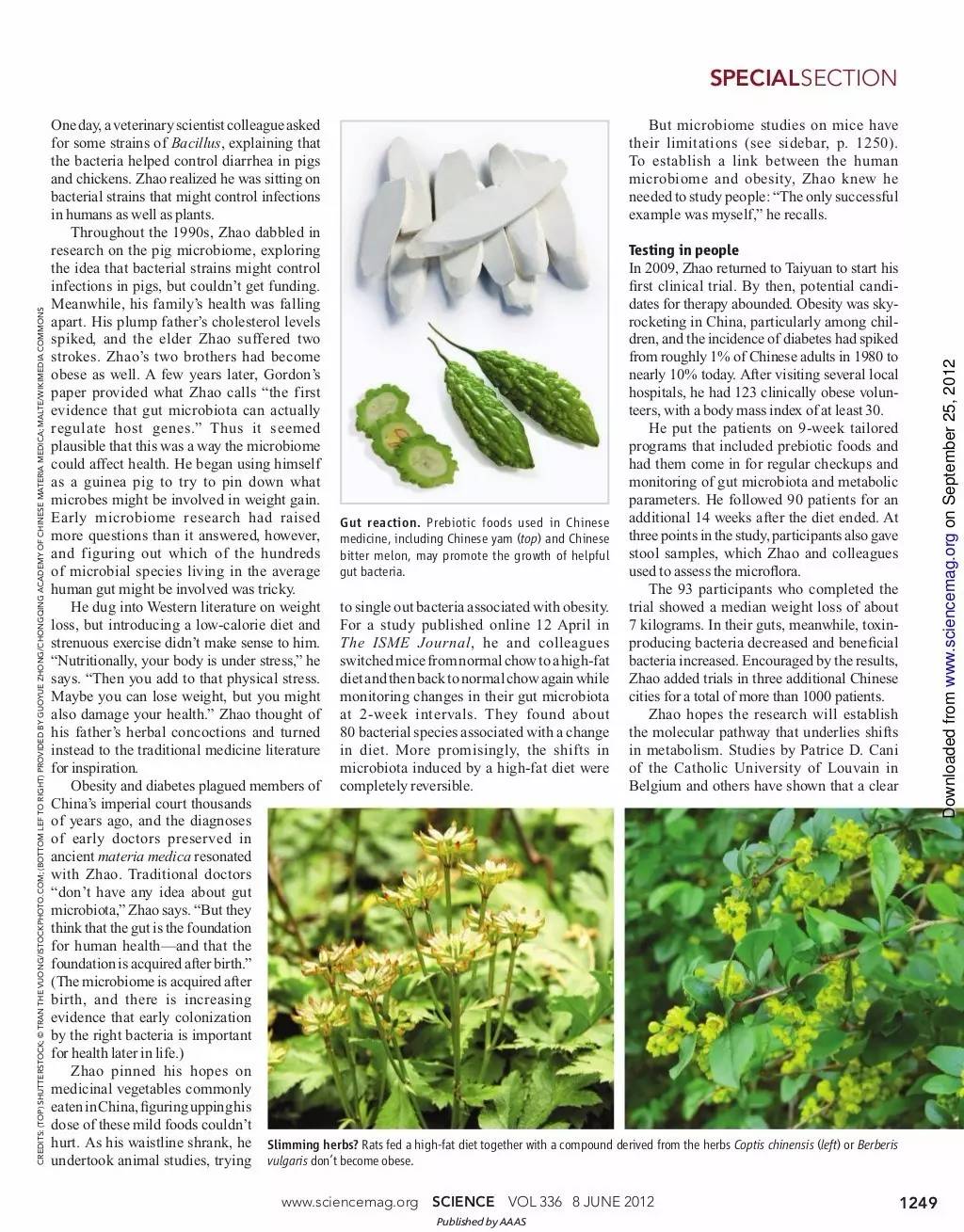 减肥之道，请先照顾好你的肠道菌群_百科TA说