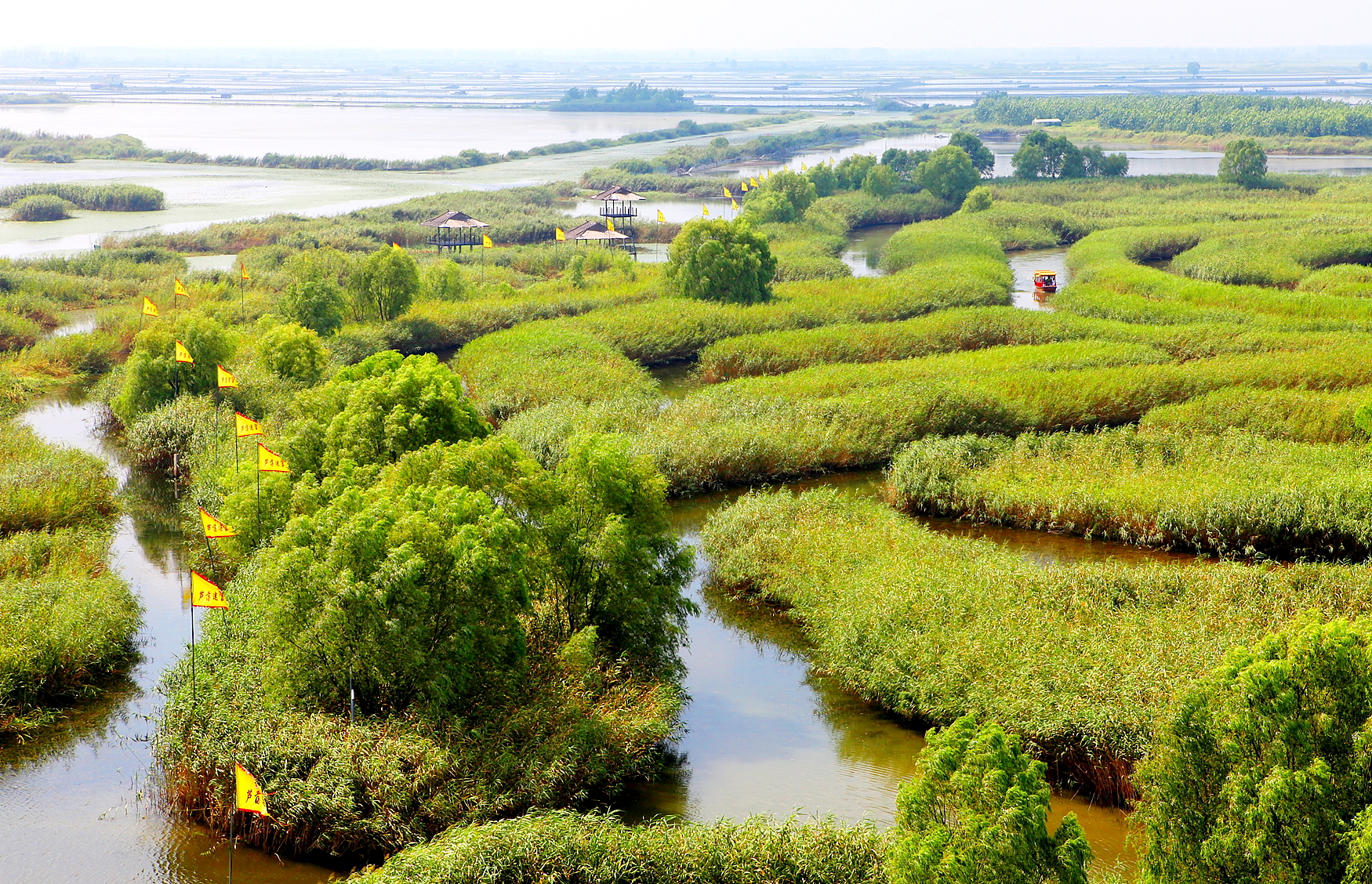  p data-id="gnyxk0rdy6">大纵湖芦荡迷宫位于该湖西北部,芦苇迷宫一