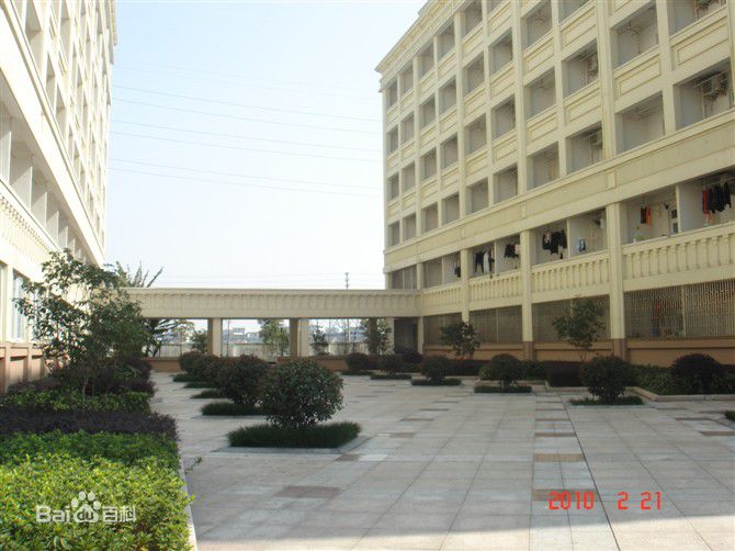 北外瑞安附校