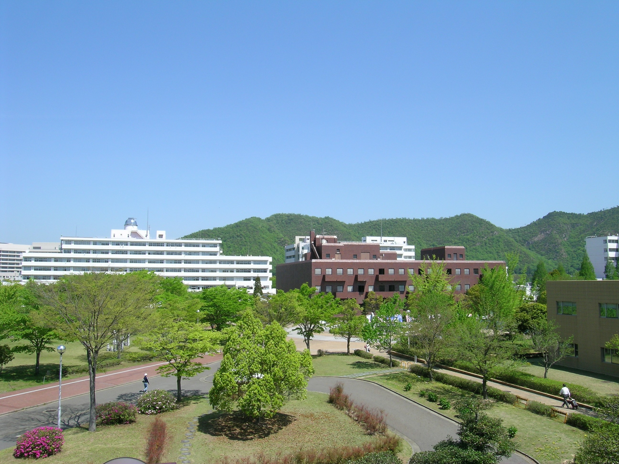 山口大学