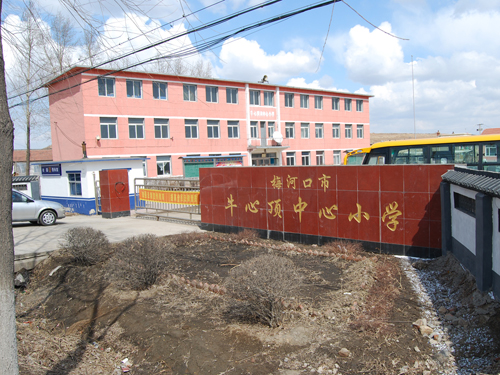 牛心顶镇中心小学