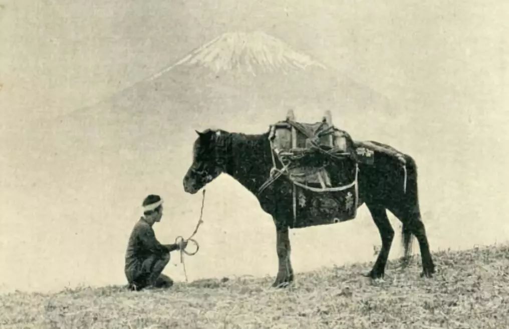 从古代“猴子骑驴”到抗战高头大马，日本骑兵到底发生了啥？_百科TA说