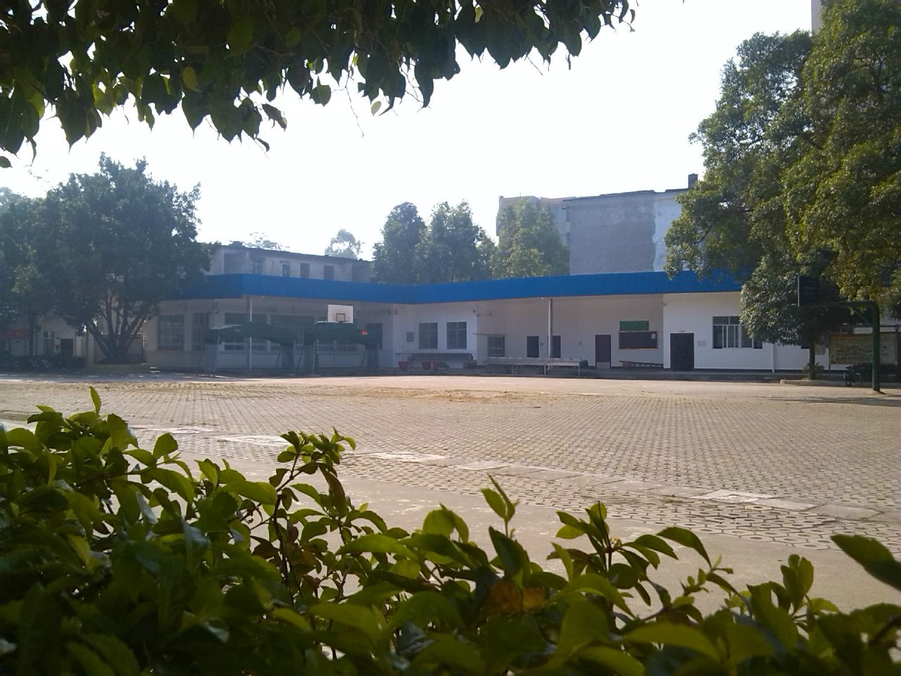  p>贵港市贵糖学校创建于1956年,是一所半封闭式的 a target="_blank"