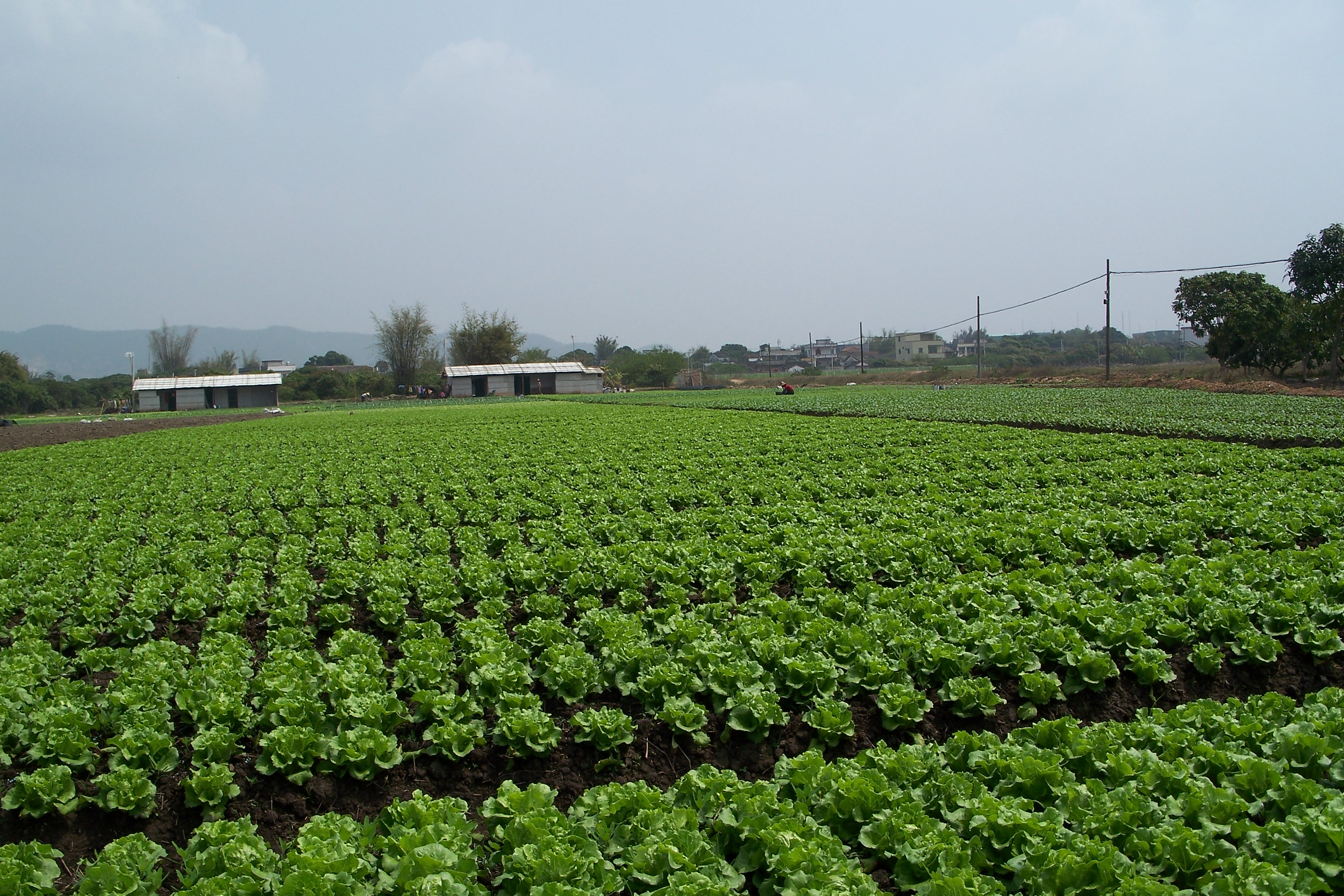  p>沽河街道,隶属于山东省青岛市莱西市,地处青岛,烟台,潍坊和威海四