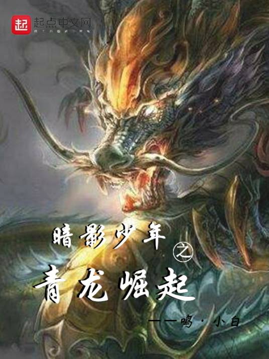 暗影少年之青龙崛起_百度百科