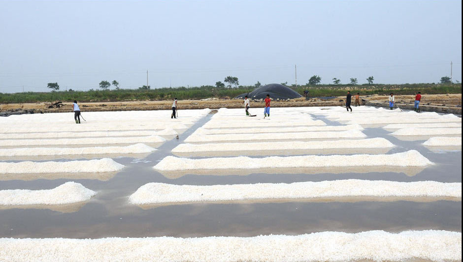  p>晒盐是指将海水晒成盐的过程.