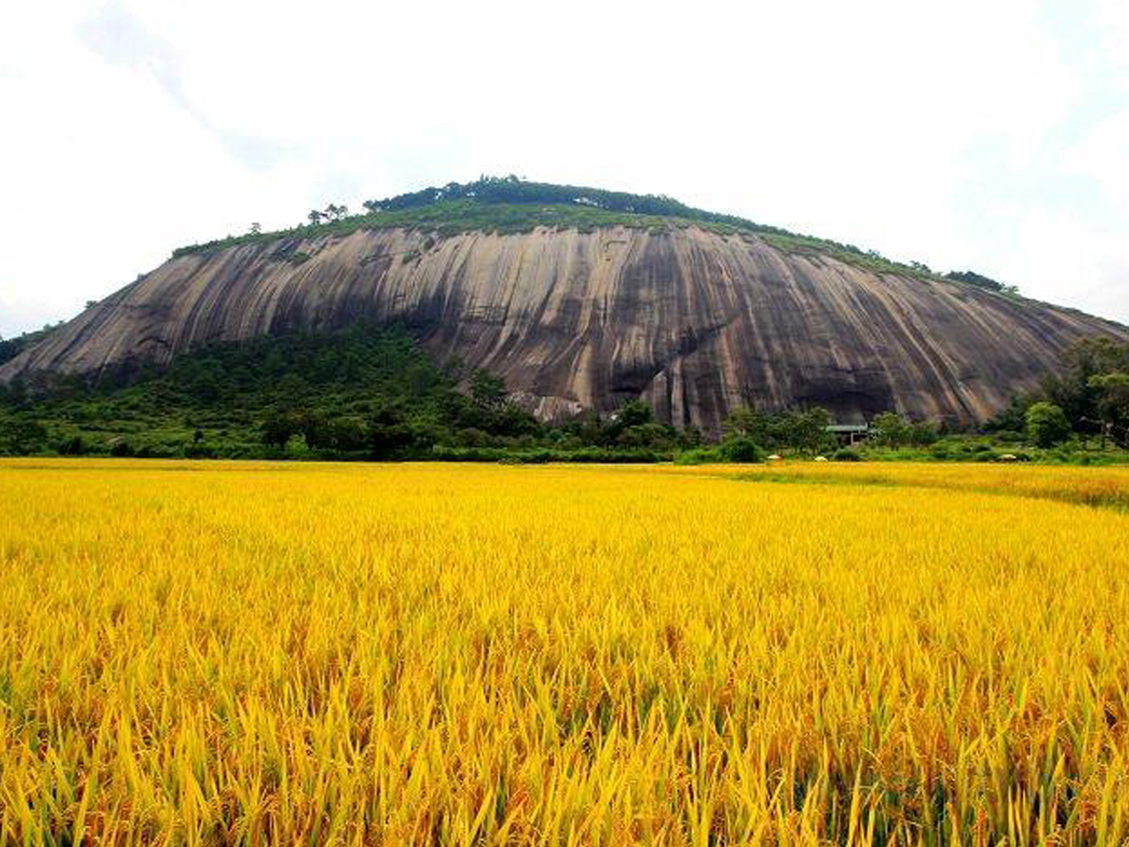  p data-id="gnx0oir75n">封开龙山景区是广东省级 a target="_blank"