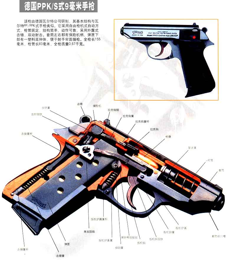 瓦尔特ppk手枪