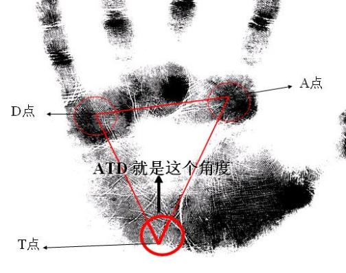 ATD（手掌上A、T、D三点形成的夹角）_百度百科