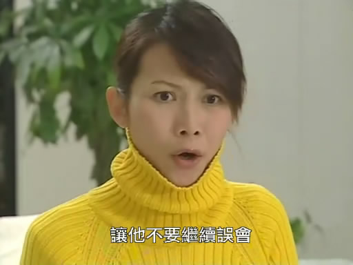 《栋笃神探 i>(to catch the uncatchable) /i>》是25集中国香港电视