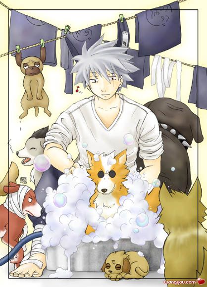 bof6kvy">八忍犬是《 a target="_blank" href="/item/火影忍者/8702"