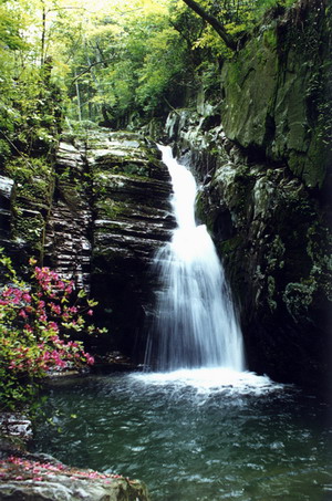  p>小天池位于庐山牯岭东北小天池山顶,海拔1213米. /p>