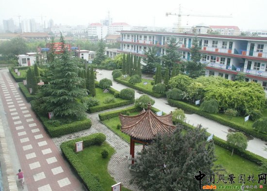  p>武安市第十中学,简称武安十中.