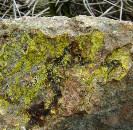  p>硅钙铀矿是一种含铀的放射性矿物.单斜晶系轴双面晶类.