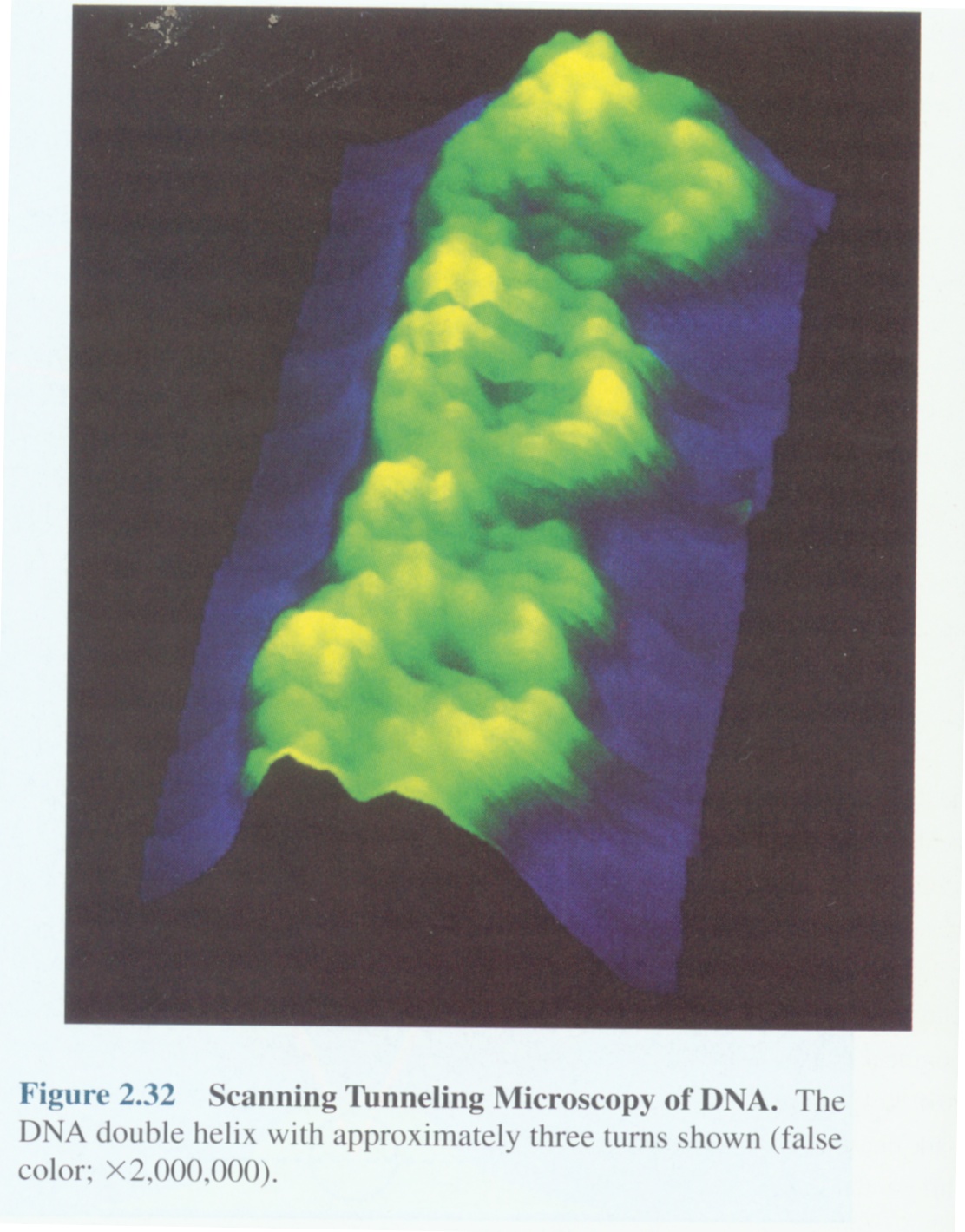 扫描隧道电子显微镜