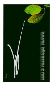  p>艺术签名,又称"签名设计",即对个人姓名的美化,艺术化.