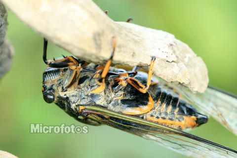 分布上海,江苏,浙江,河北,陕西,山东,河南,安徽,湖南,福建,台湾,广东