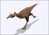 慈的蜥蜴",是 a target="_blank" href="/item/阿瓦拉慈龙科/8010750"