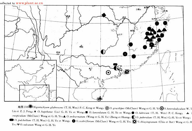 因为仅见分布于尖山及中文大学校园,所以特别具有科