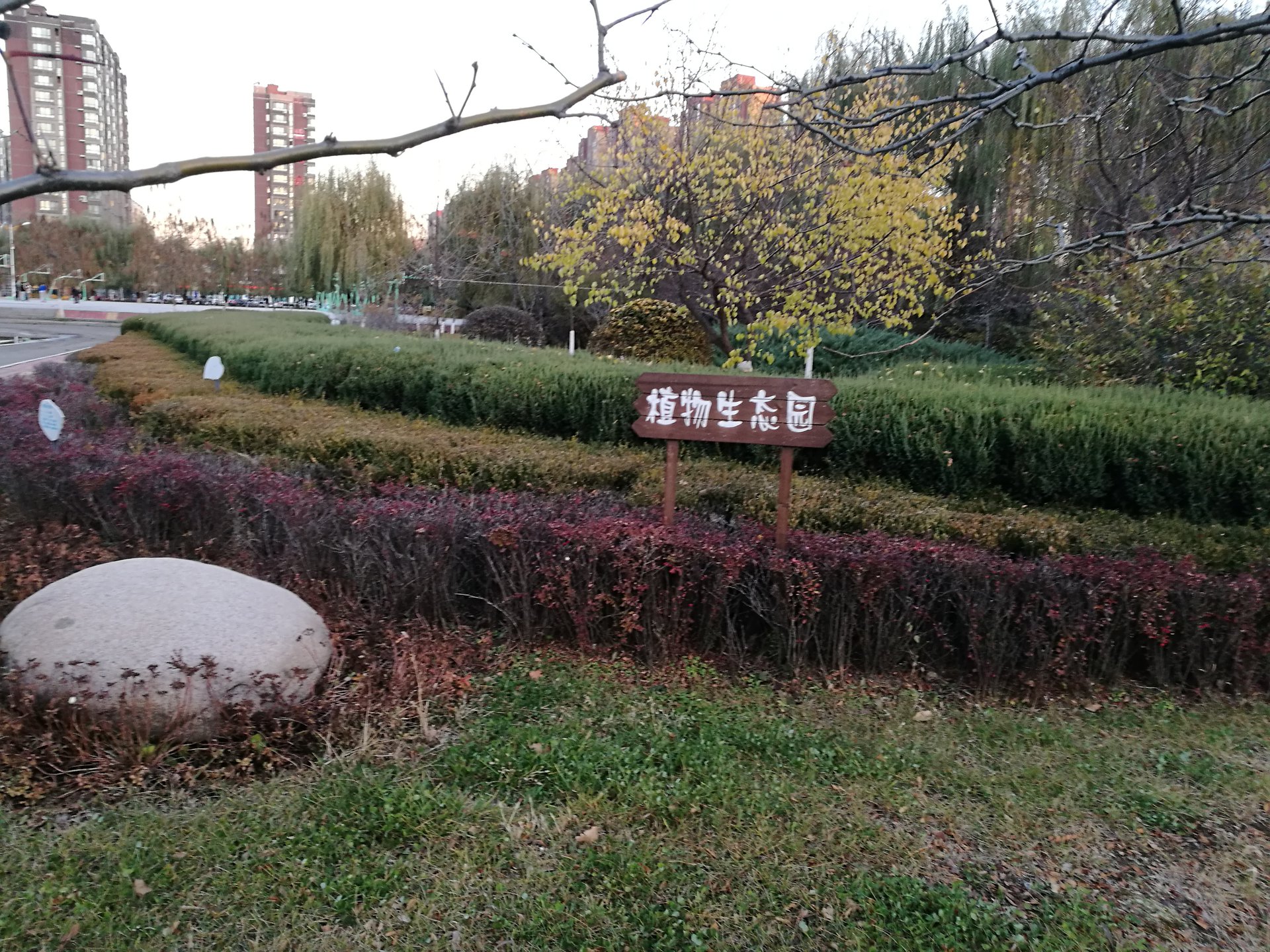 抚顺市第二中学简称抚顺二中,是辽宁省首批示范性高中之一,素有"