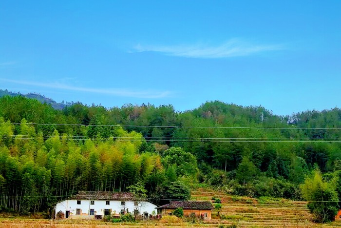  p>山背遗址位于修水县上奉镇山背村,距县城63公里,为新石器时代晚期