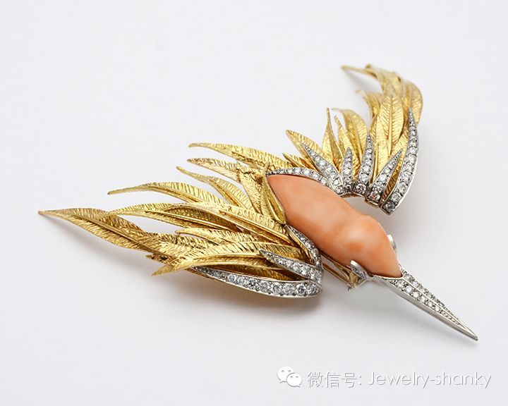 专访珊瑚名门大族：MOMO_百科TA说