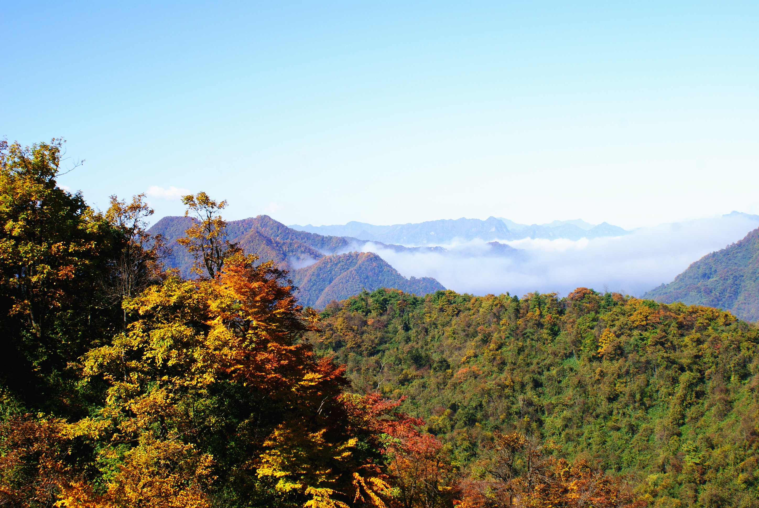 光雾山-诺水河地质公园