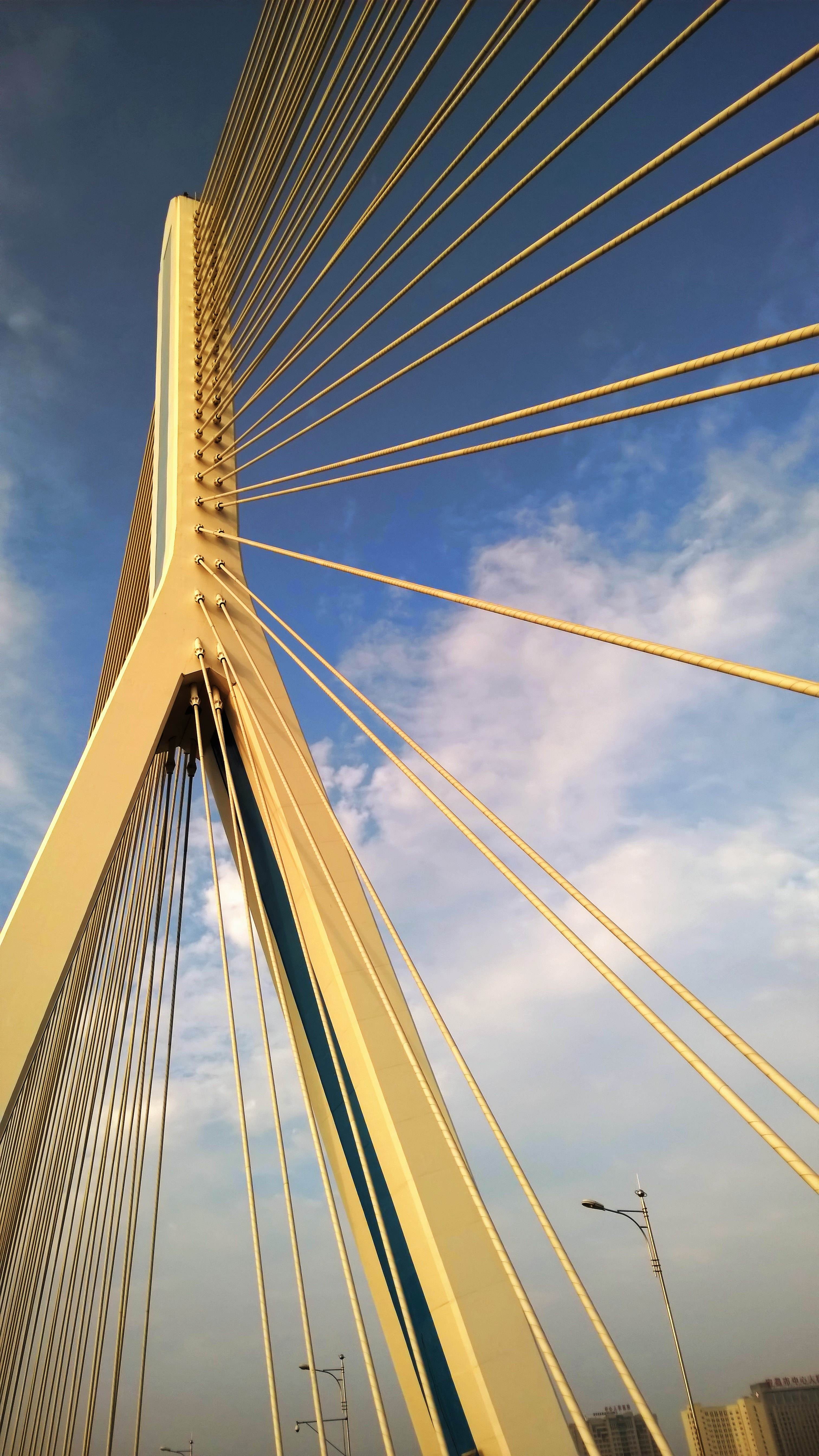 伍家岗夷陵长江大桥