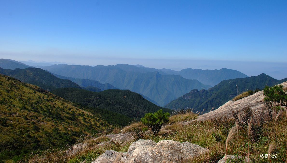  p>双花木是一种落叶灌木,属于双花木属的一个物种,小枝屈曲,褐色