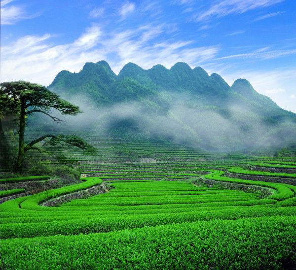 data-id="gnazlnnon8">九岗山位于湖南省益阳市桃江县马迹塘镇,九岗山