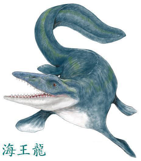  p>海王龙(tylosaurus)又名 a href="#" data