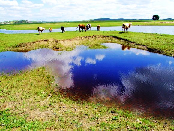 鸿雁湖自然保护区
