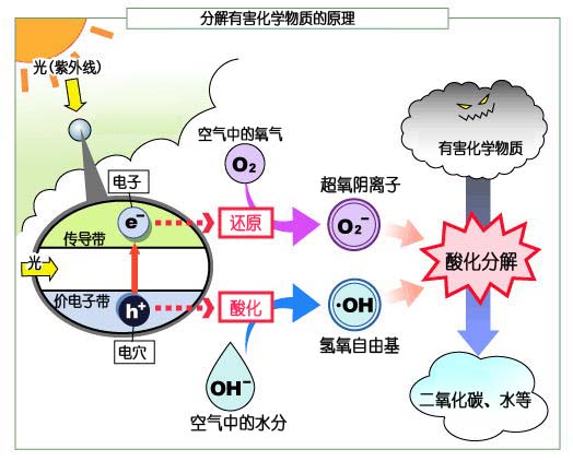  p>光呼吸(photorespiration)是所有进行光合作用的细胞在光照和高氧