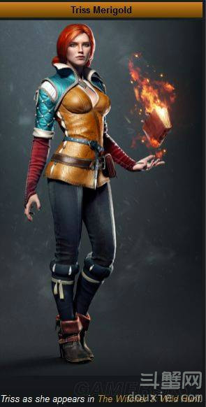 特莉丝·梅莉葛德,女,小说 a target="_blank" href="/item/《猎魔人