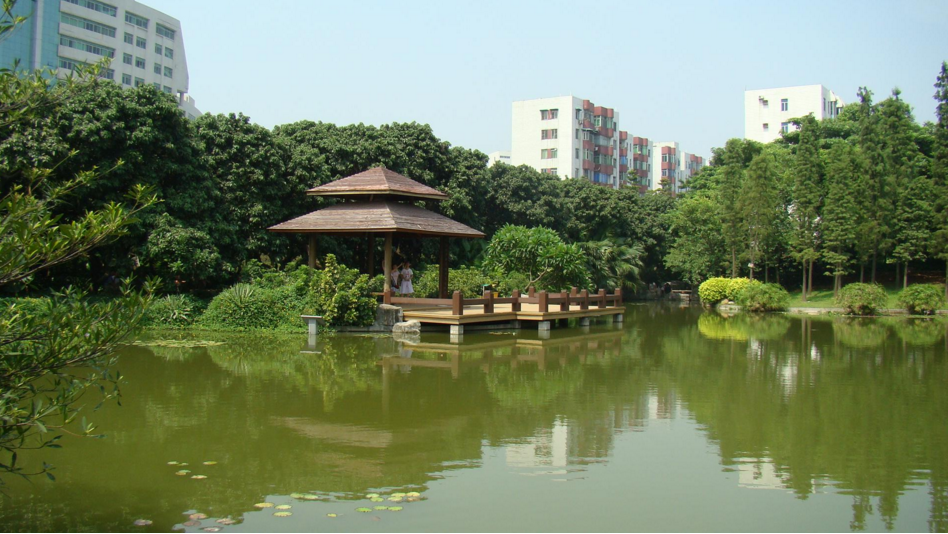 荔枝公园