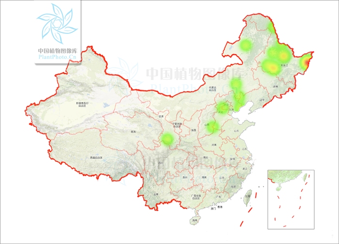  p> a href="#" data-lemmaid="7198266">狭叶牡蒿 /a>(学名