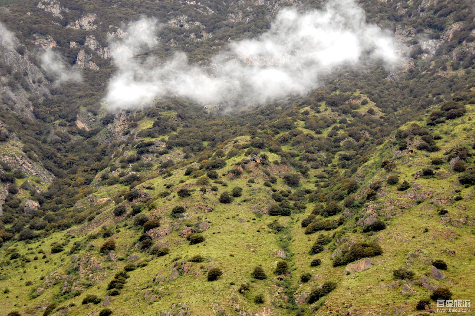 雅鲁藏布大峡谷