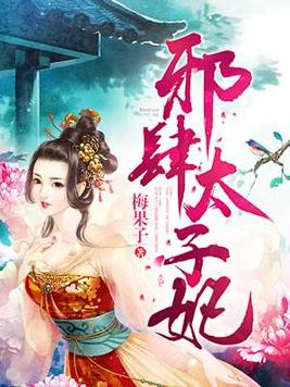 太子妃》是连载于百度小说的一部古代言情类型网络小说,作者是梅果子