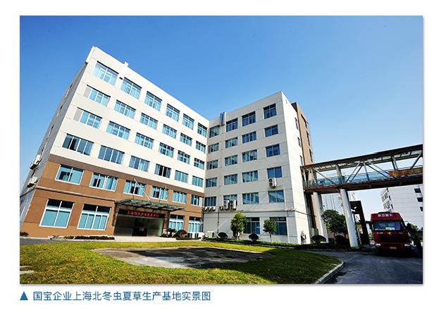 上海国宝企业发展中心